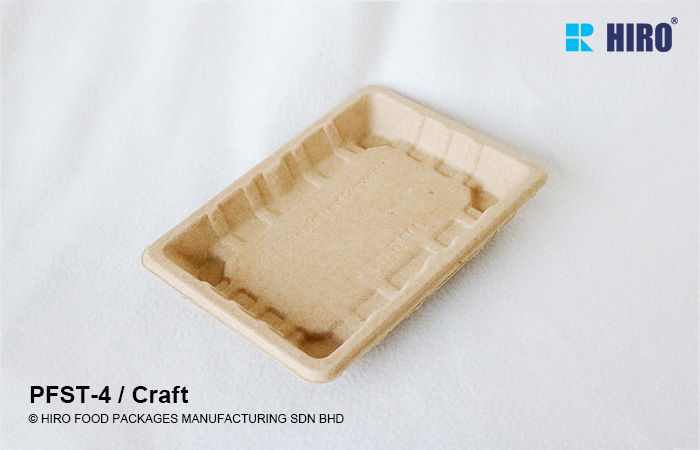 EFB tray PFST-4 Craft