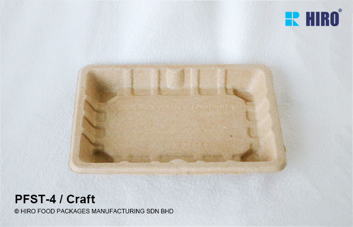 EFB tray PFST-4 Craft